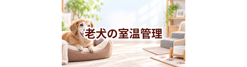 老犬の室温管理はどうする？季節ごとの環境づくり