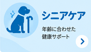 シニアケア