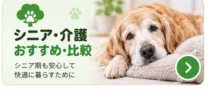 シニア・介護