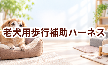老犬用歩行補助ハーネスはいくら？価格帯と選ぶときの注意点