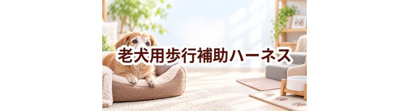 老犬用歩行補助ハーネスはいくら？価格帯と選ぶときの注意点