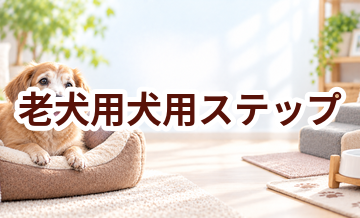 老犬用犬用ステップはいくら？価格帯と選ぶときの注意点