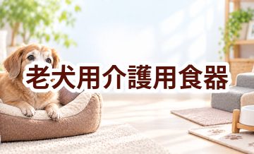 老犬用介護用食器はいくら？価格帯と選ぶときの注意点