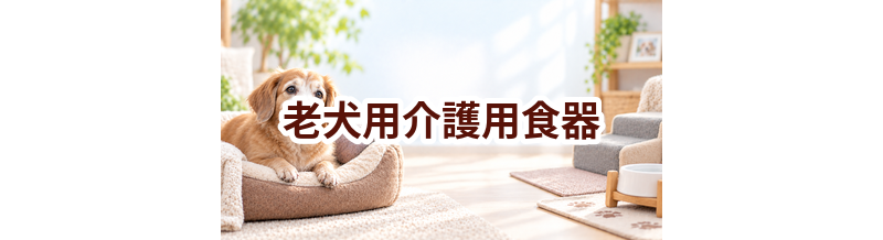 老犬用介護用食器はいくら？価格帯と選ぶときの注意点