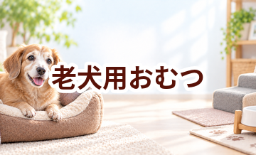 老犬用おむつはいくら？価格帯と選ぶときの注意点