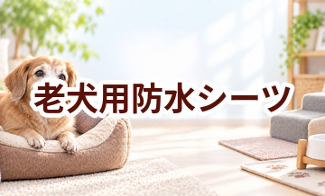 老犬用防水シーツはいくら？価格帯と選ぶときの注意点