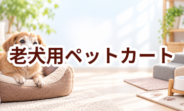 老犬用ペットカートはいくら？価格帯と選ぶときの注意点