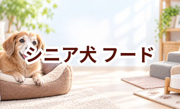 シニア犬のドッグフードはどう選ぶ？価格・食べやすさ・続けやすさで比較