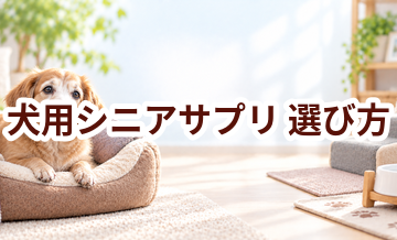 犬用シニアサプリの選び方｜成分・価格・続けやすさを比較
