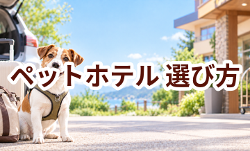 ペットホテルを選ぶポイント｜予約前に確認したいチェックリスト