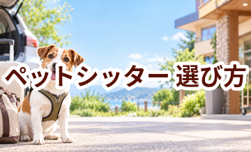 ペットシッターを選ぶポイント｜予約前に確認したいチェックリスト
