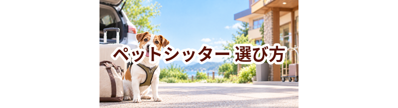 ペットシッターを選ぶポイント｜予約前に確認したいチェックリスト