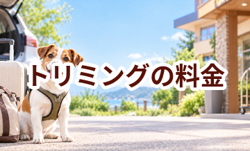 トリミングの料金はいくら？相場と選び方をわかりやすく解説