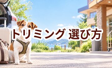 トリミングを選ぶポイント｜予約前に確認したいチェックリスト