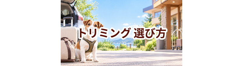 トリミングを選ぶポイント｜予約前に確認したいチェックリスト