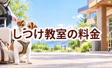 しつけ教室の料金はいくら？相場と選び方をわかりやすく解説