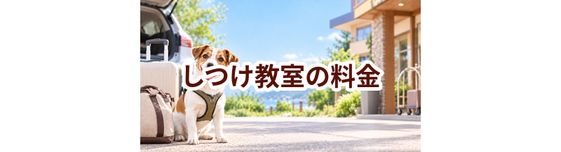 しつけ教室の料金はいくら？相場と選び方をわかりやすく解説