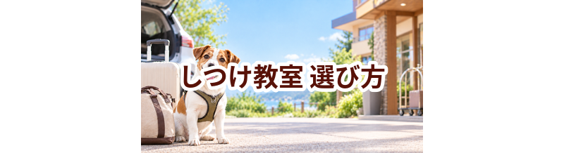 しつけ教室を選ぶポイント｜予約前に確認したいチェックリスト