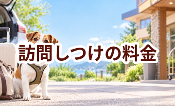 訪問しつけの料金はいくら？相場と選び方をわかりやすく解説