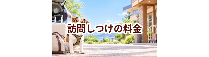 訪問しつけの料金はいくら？相場と選び方をわかりやすく解説