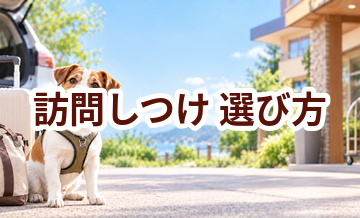 訪問しつけを選ぶポイント｜予約前に確認したいチェックリスト