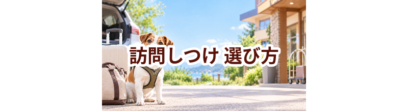 訪問しつけを選ぶポイント｜予約前に確認したいチェックリスト