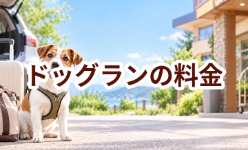 ドッグランの料金はいくら？相場と選び方をわかりやすく解説