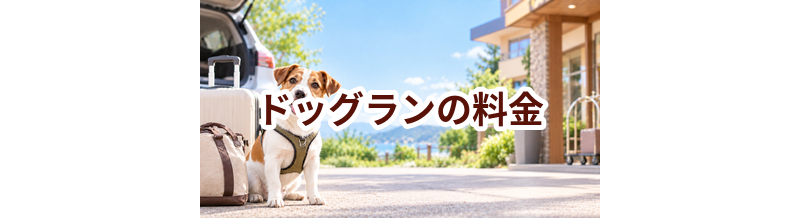 ドッグランの料金はいくら？相場と選び方をわかりやすく解説
