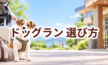 ドッグランを選ぶポイント｜予約前に確認したいチェックリスト