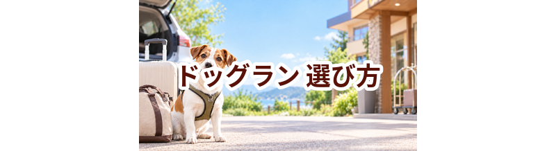 ドッグランを選ぶポイント｜予約前に確認したいチェックリスト