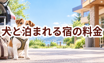 犬と泊まれる宿の料金はいくら？相場と選び方をわかりやすく解説
