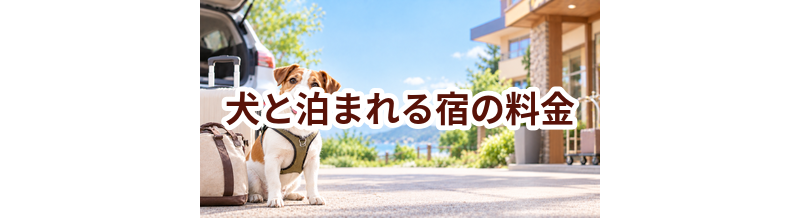 犬と泊まれる宿の料金はいくら？相場と選び方をわかりやすく解説