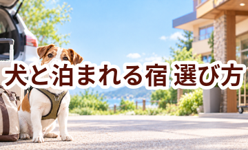犬と泊まれる宿を選ぶポイント｜予約前に確認したいチェックリスト