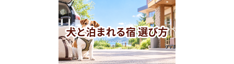 犬と泊まれる宿を選ぶポイント｜予約前に確認したいチェックリスト
