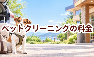 ペットクリーニングの料金はいくら？相場と選び方をわかりやすく解説