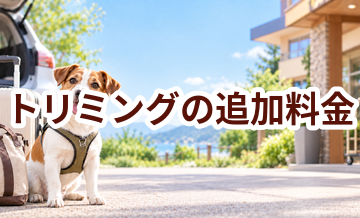 トリミングで追加料金になりやすいものは？総額で比較するポイント