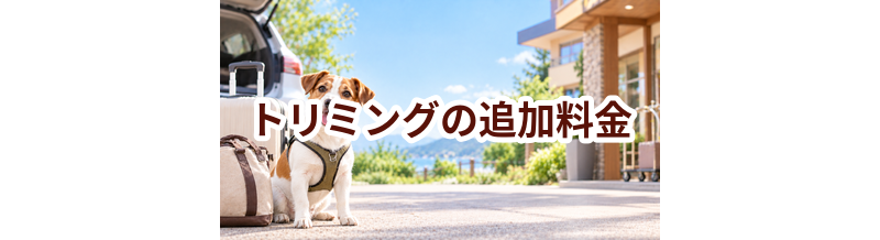 トリミングで追加料金になりやすいものは？総額で比較するポイント