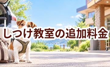 しつけ教室で追加料金になりやすいものは？総額で比較するポイント