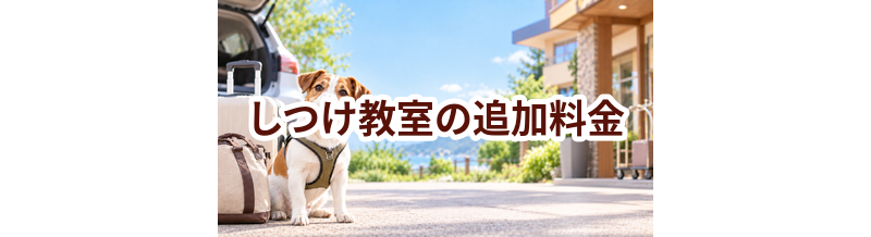 しつけ教室で追加料金になりやすいものは？総額で比較するポイント