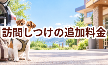 訪問しつけで追加料金になりやすいものは？総額で比較するポイント