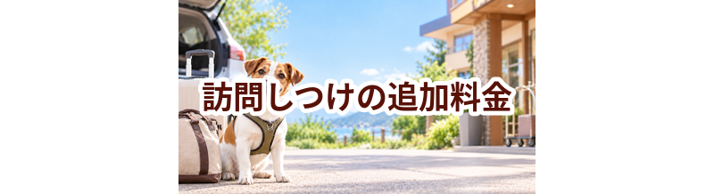 訪問しつけで追加料金になりやすいものは？総額で比較するポイント