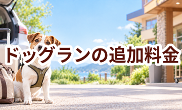 ドッグランで追加料金になりやすいものは？総額で比較するポイント