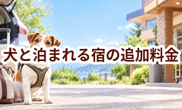 犬と泊まれる宿で追加料金になりやすいものは？総額で比較するポイント