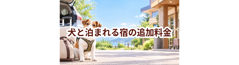 犬と泊まれる宿で追加料金になりやすいものは？総額で比較するポイント