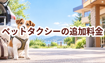 ペットタクシーで追加料金になりやすいものは？総額で比較するポイント