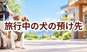 旅行中の犬の預け先はいくら？費用と予約前の確認ポイント