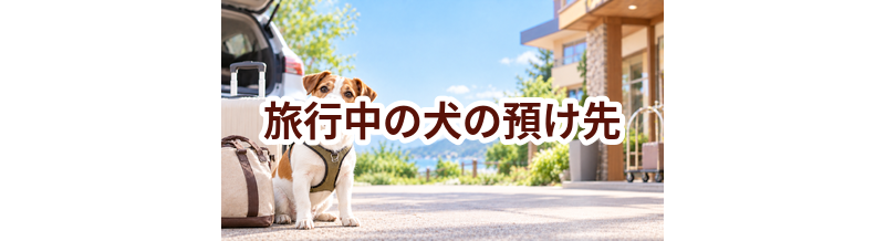 旅行中の犬の預け先はいくら？費用と予約前の確認ポイント