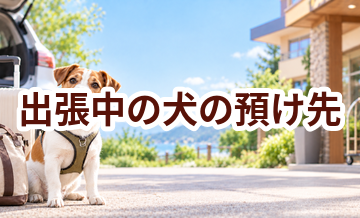出張中の犬の預け先はいくら？費用と予約前の確認ポイント