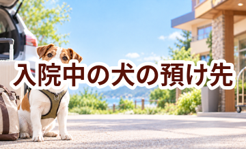 入院中の犬の預け先はいくら？費用と予約前の確認ポイント
