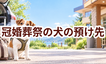 冠婚葬祭の犬の預け先はいくら？費用と予約前の確認ポイント